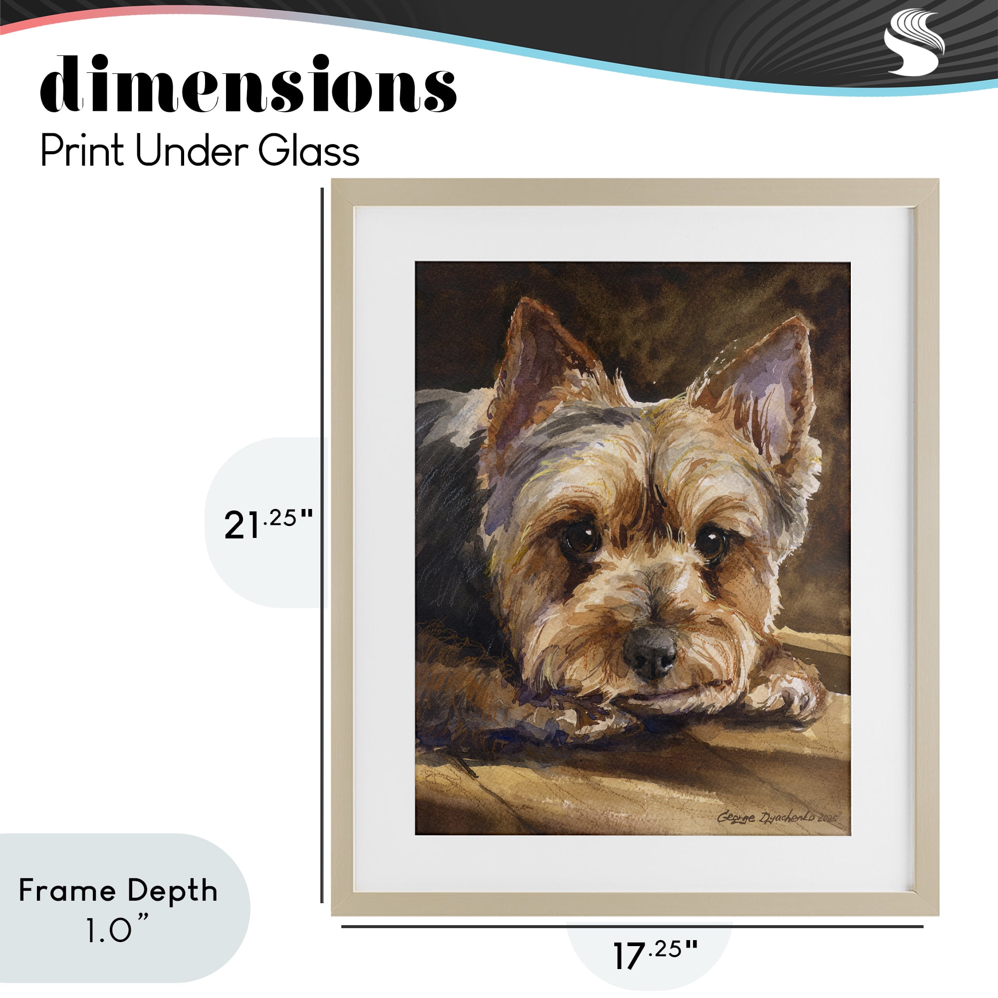 Stupell Industries Yorkshire Terrier Portrait Birch Framed Print Under Glass, design by George Dyachenko