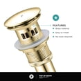 thumbnail image 3 of Fine Fixtures Pop Up Drain With Strainer Basket in Satin Brass, 3 of 7