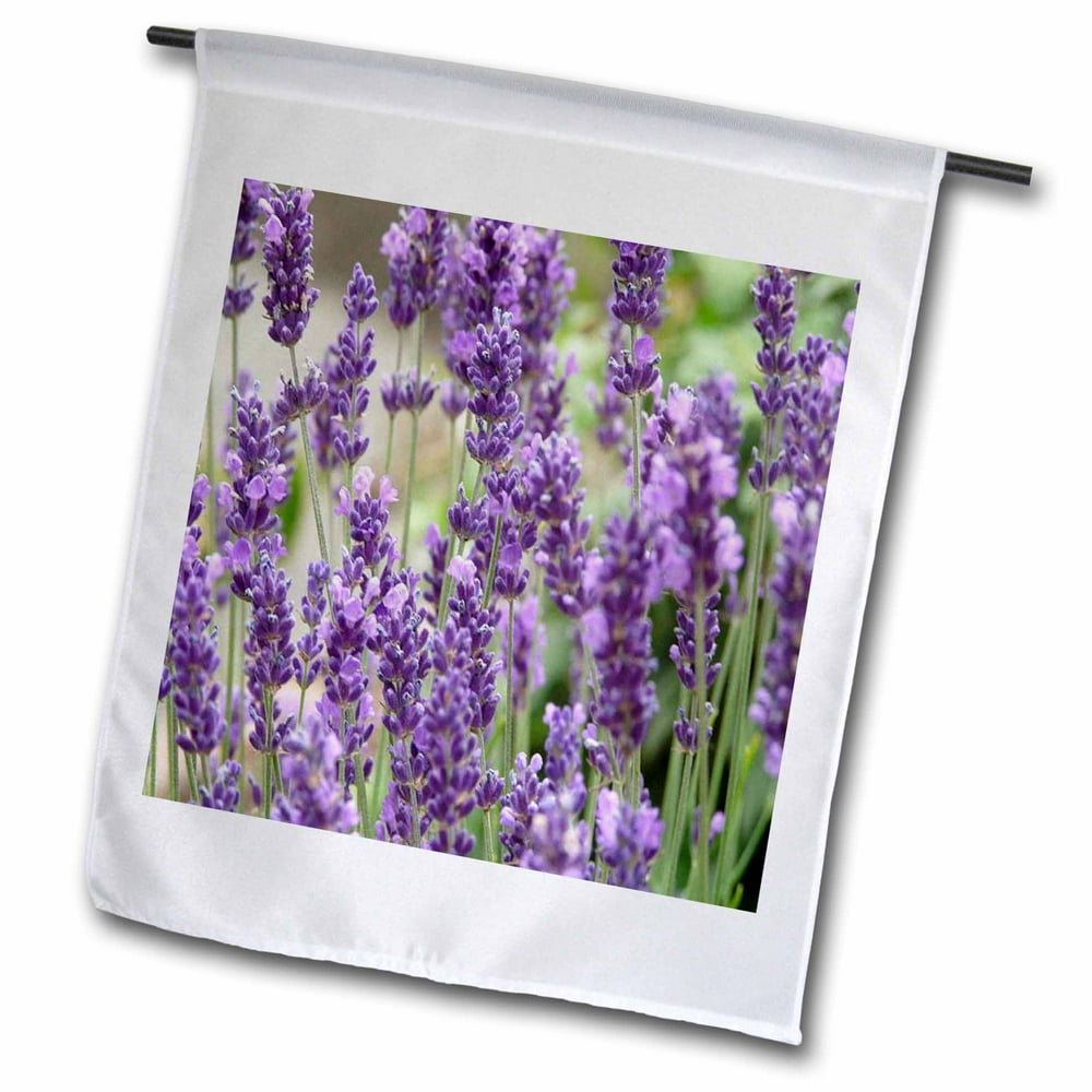 3dRose Field of Purple Flowers Garden Flag