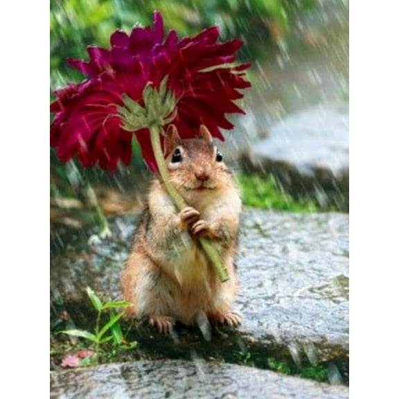 Jigsaw Puzzle 500 Pieces for Adults Squirrel Holding a Colorful Umbrella Challenging Educational Fun Family Activities Games Gifts Wooden Puzzles 20.5 x 15 In