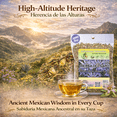 thumbnail image 2 of Hierba Del Sapo Herbal Tea 4oz | Mexican Thistle-Eryngium Heterophyllium | Crafted By Nature100% All Natural Fresh Tea Tea | Non-GMO | From Mexico, 2 of 9