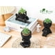 thumbnail image 4 of Set de plantas suculentas artificiales con macetas negras, 3 unidades, 4 of 6