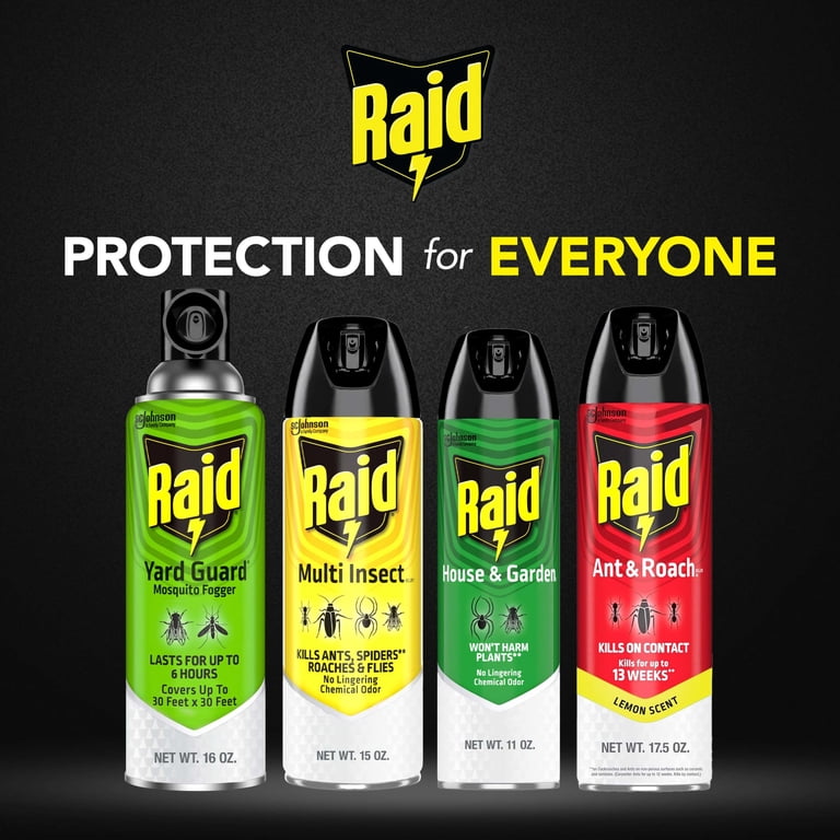 Raid House Garden Bug Killer Aerosol Kills Bugs on Contact Wont Harm Plants Indoor and Outdoor Use 11 Ounce (Pack of 2) | 466464660
