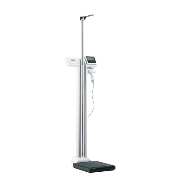 Seca 787 Báscula de columna con HCE validada con pantalla a la altura de los ojos Capacidad 250 kg