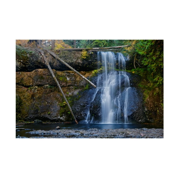 Susan Vizvary Photography 'Three Trunk Waterfall' Canvas Art
