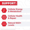 thumbnail image 3 of Force Factor NMN Longevity Capsules, 500mg NMN Extra Strength, Precursor to Boost NAD+ Levels for Cellular Energy, Metabolism & Healthy Aging Support, 60 Capsules, 3 of 13