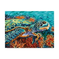 Trademark Fine Art 'Sea Sweetheart I' Canvas Art by Carolee Vitaletti