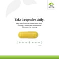 thumbnail image 4 of Terry Naturally Curamin - 21 Capsules (Travel Size) - Non-Addictive Pain Relief Supplement with Curcumin from Turmeric, Boswellia & DLPA - Non-GMO, Vegan, Gluten Free - 7 Servings, 4 of 7