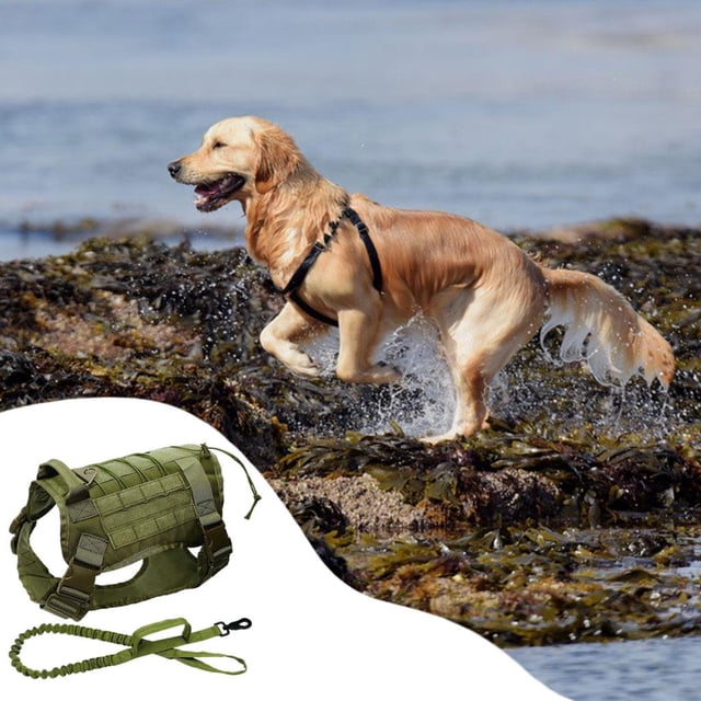 Arnés para perros ajustable Gancho extraíble Fácil de controlar Chaleco ligero resistente para mascotas para perros medianos grandes Perros de - M Salvador Chaleco de arnés
