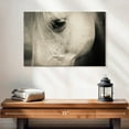 thumbnail image 2 of Elephant Stock White Horse Eye Wall Art - Horizontal Canvas Wall Art - Living Room Wall Decor - Animal Canvas - Beige And Gray Decor - 24" x 16", 2 of 8