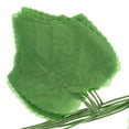 thumbnail image 2 of WASHWEPE 12Ud Planta Colgante De Artificial Para De Pared Y, 2 of 5