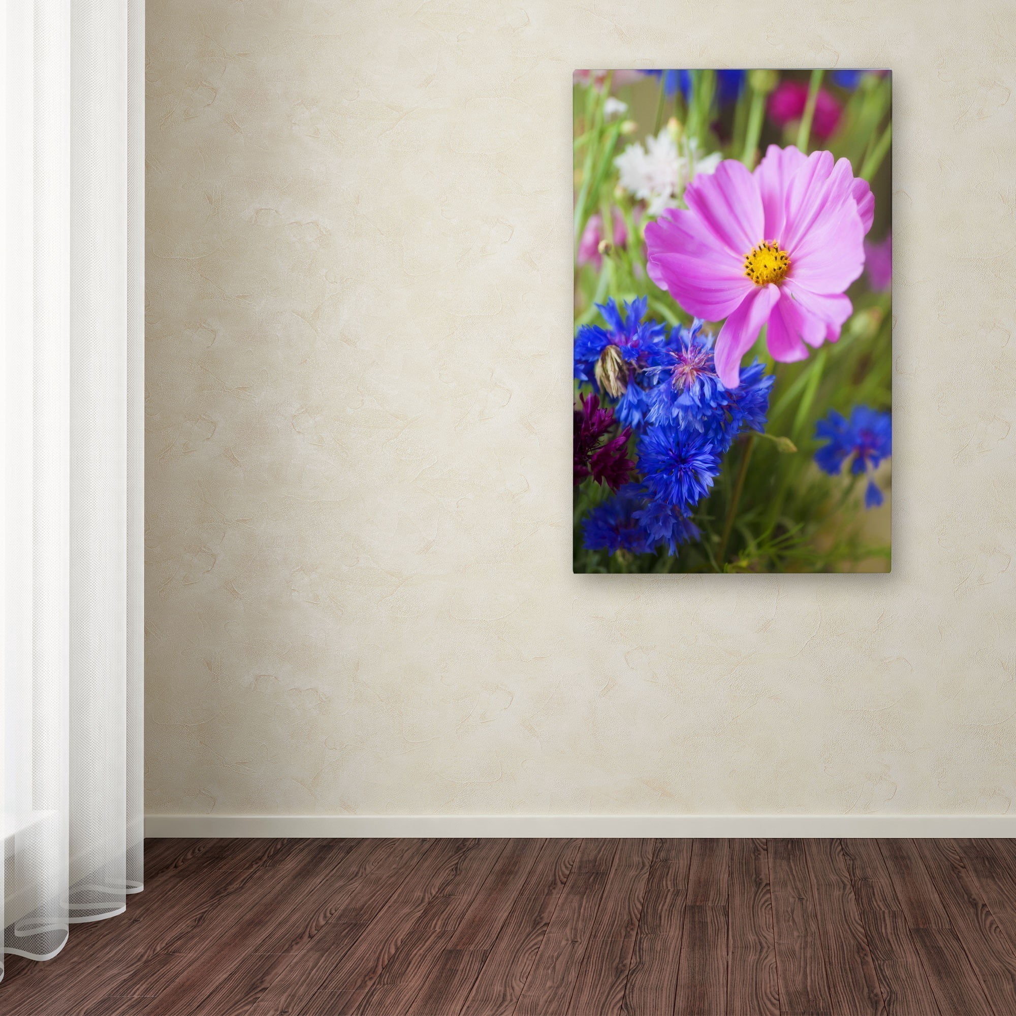 Trademark Fine Art "Cosmo" Canvas Art by Philippe Sainte-Laudy