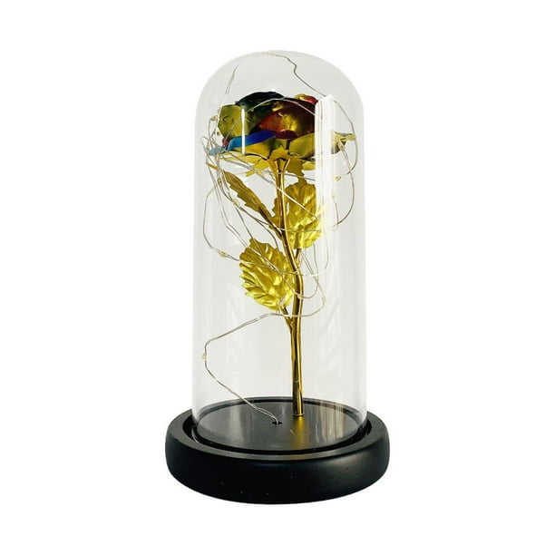 Naiovety Rosa eterna LED con cúpula de cristal Flor de lámina de oro de 24 quilates y una de cuento de hadas Regalo de San Valentín Almacenamiento y organización del hogar Naiovety HA023427-00