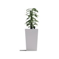 thumbnail image 4 of Decorlives Large Square Pillar Shape White Color Fiberglass Planters Pots Light Weight For Indoor-Outdoor, 4 of 6