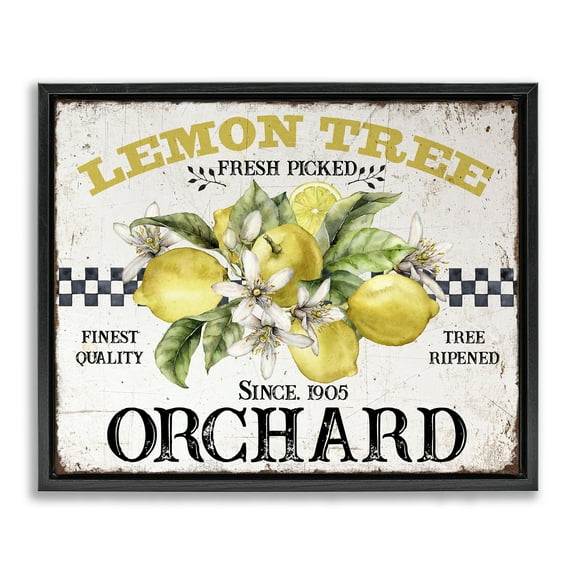 Stupell Industries Lemon Tree Fresh Picked Food & Beverage Painting Black Floater Framed Canvas Art Print Wall Art, 21 x 17
