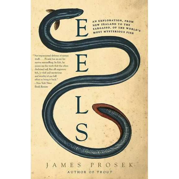 Eels: An Exploration, from New Zealand to the Sargasso, of the World's Most Mysterious Fish, (Paperback)