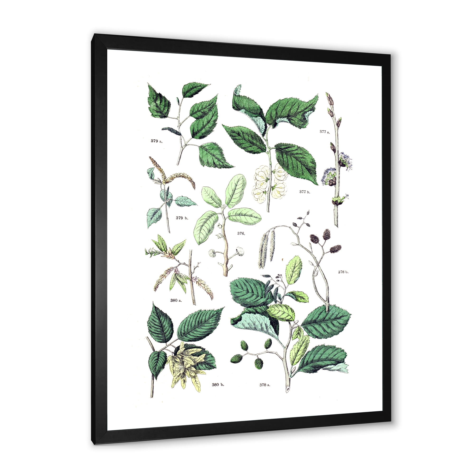 Designart 'Ancient Botanicals VIII' Traditional Framed Art Print