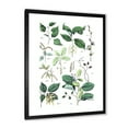 thumbnail image 2 of Designart 'Ancient Botanicals VIII' Traditional Framed Art Print, 2 of 4