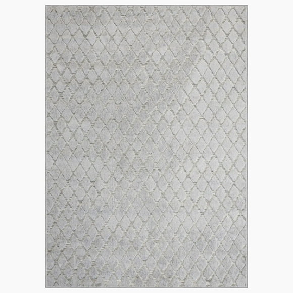 Tapis Interieur