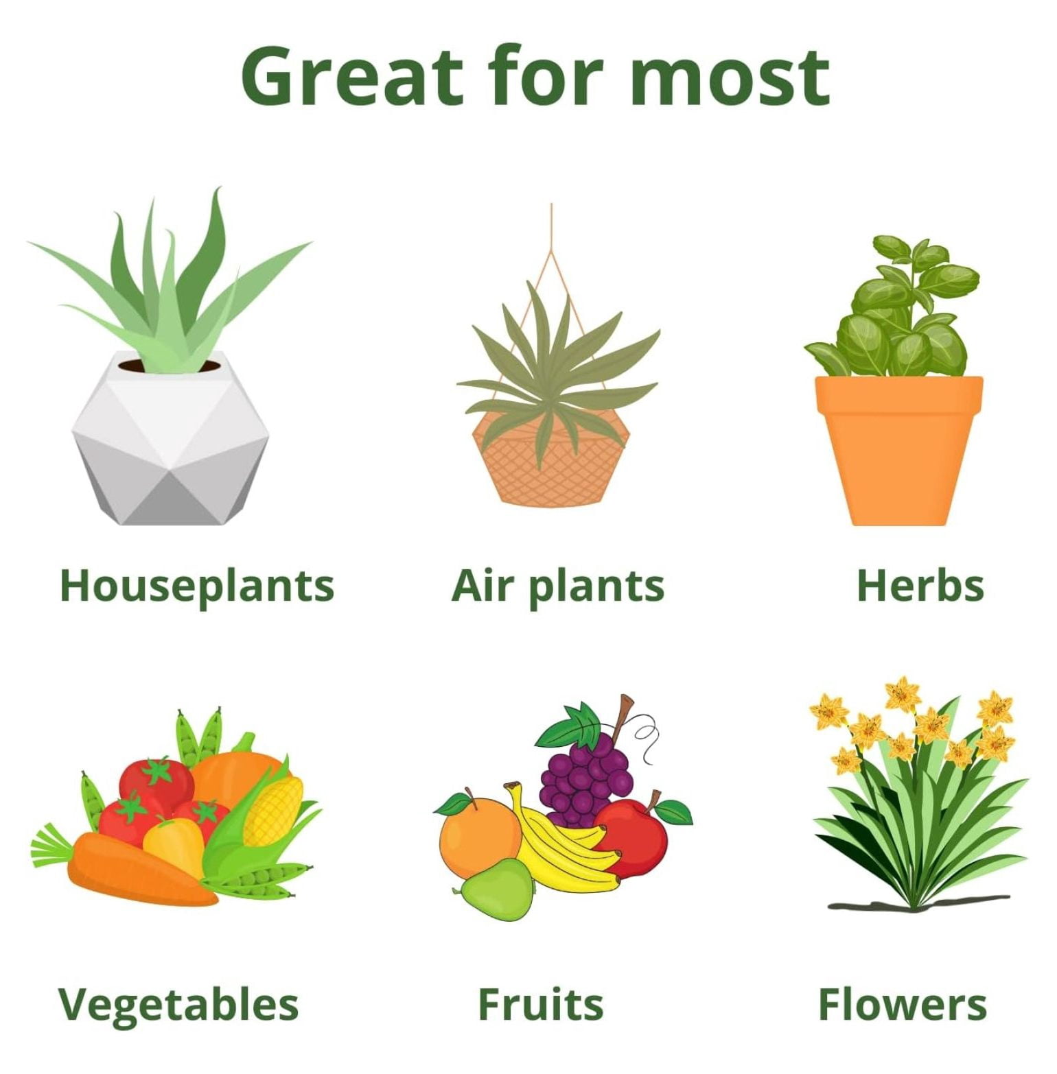 All Purpose Water Soluble 20-20-20 Fertilizer Balanced NPK Plant Food with Micronutrients, Contains Kelp (Ascophyllum nodosum) for Indoor & Outdoor Plants, Gardens & Turf (3 lbs)