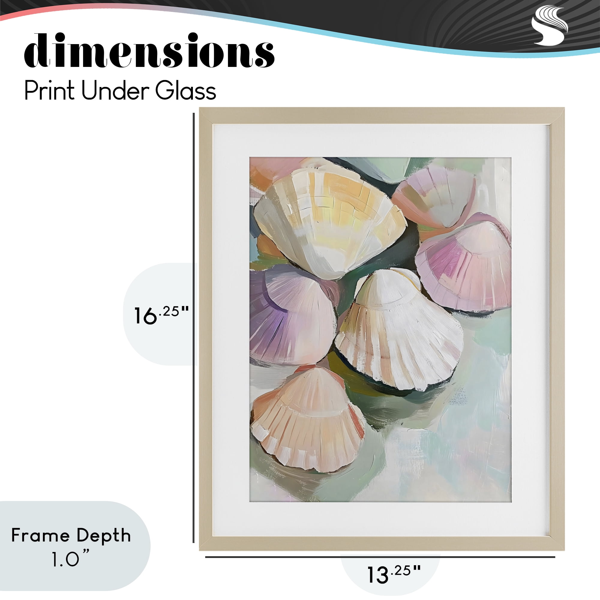 Stupell Industries Pink Seashells Marine Collection Birch Framed Print Under Glass, design by The Prints Vibe