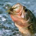 thumbnail image 3 of YWIYIUD 1PC 2.56x2.56x3.94inch Portable and Practical Sea Urchin Soft Floating Swimbait with SoftTentacles Slow Sinking Swimbaits Suitable for Saltwater and Freshwater, 3 of 7