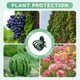 thumbnail image 3 of Clips para plantas, clips para orquídeas para plantas, clips de apoyo para orquídeas, clips de flores para apoyar tallos de vides, tallos de enredaderas, plantas trepras, cultivar verticalmente,, 3 of 3