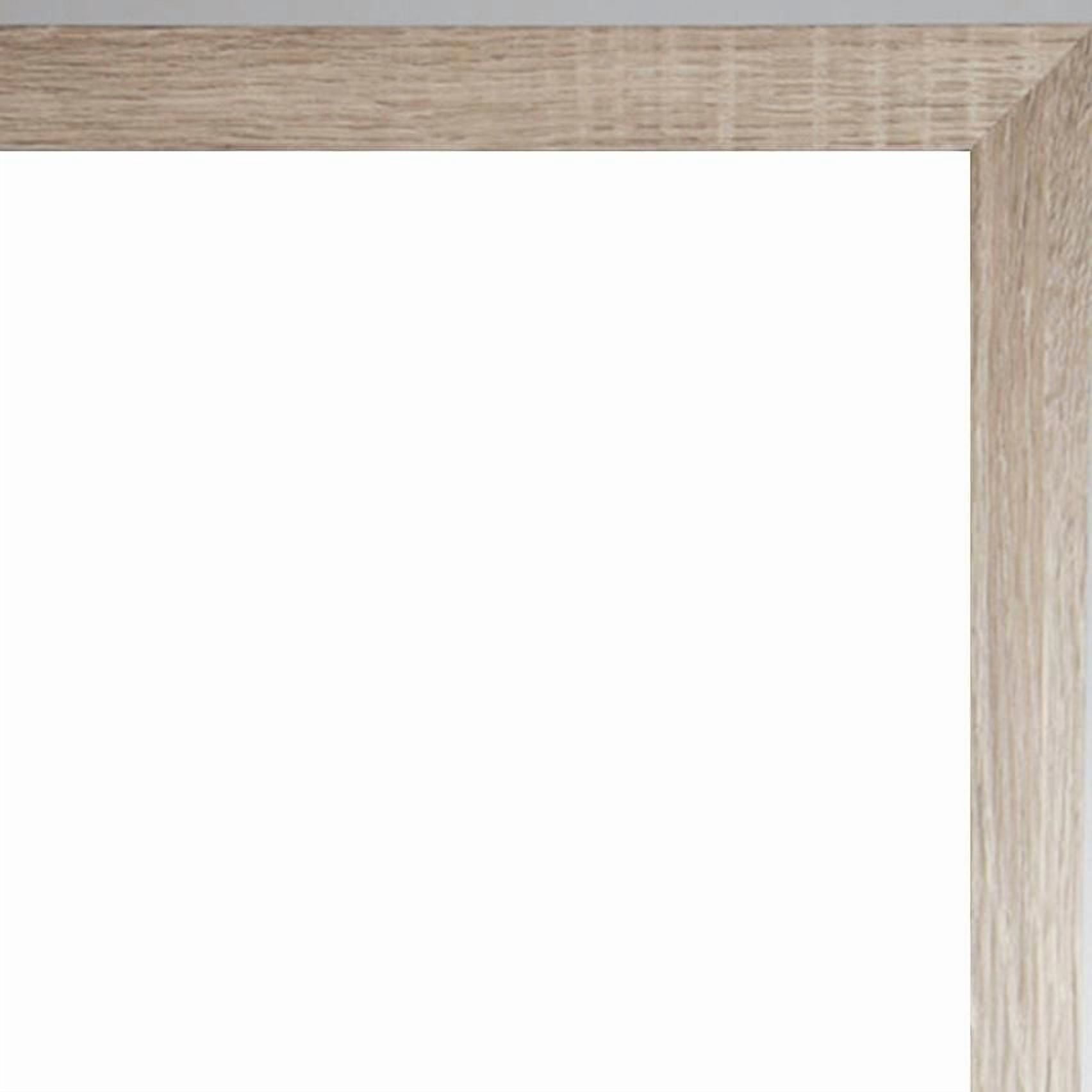 Hometrends Classified Perfection Poster Frame