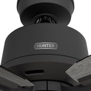 Hunter 52 inch Indoor Ceiling Fan with LED Lights and Remote Control - Black Ceiling Fan, Standard Mount, 5 Blades, For Bedroom, Living Room, or Kitchen - Gatlinburg 52429, Matte Black
