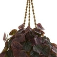 thumbnail image 4 of Nearly Natural 34" Peperomia Real Touch Artificial Plant in Hanging Basket, Red, 4 of 4