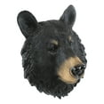 thumbnail image 5 of Ebros Gift The Brave Black Bear Head Wall Decor Plaque 8"H Wall Decor Plaque, 5 of 7
