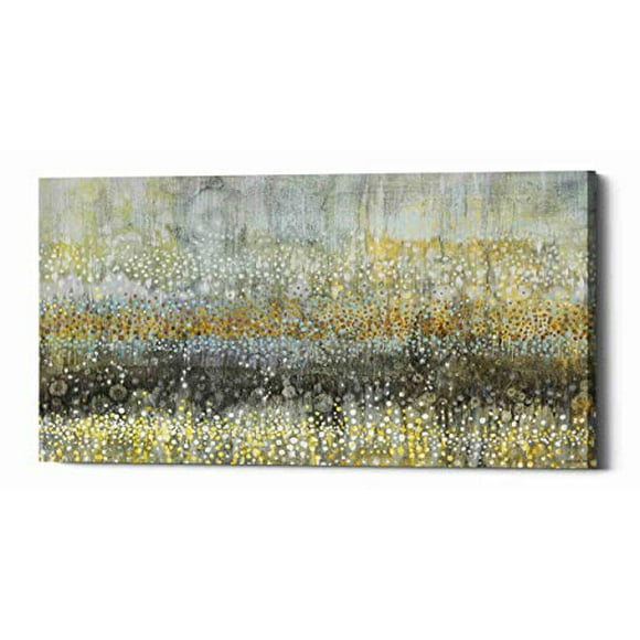 Epic Graffiti' 'rain Abstract II Crop' par Danhui NAI Giclée Toile Art Mural, 20 Pouces x 40 Pouces, Gris