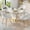 White, variant on VECELO Set of 4 Modern Velvet Dining Chair with Thick Cushions, Upholstered Kitchen Chair with Gold Metal Legs, White