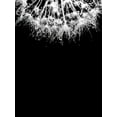 thumbnail image 2 of Incado 25x32 Black Ornate Wood Framed with Double Matting Museum Art Print Titled - Crystal II, 2 of 4