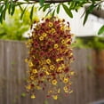 thumbnail image 6 of Fall Hanging Baskets,Fall Artificial Fake Mums Hanging Flowers Plants Basket for Outdoor Decoration,Faux Silk Daisy UV Resistant Look Real for Home Porch Patio Balcony Yard Autumn Decor(Yellow Brown), 6 of 7