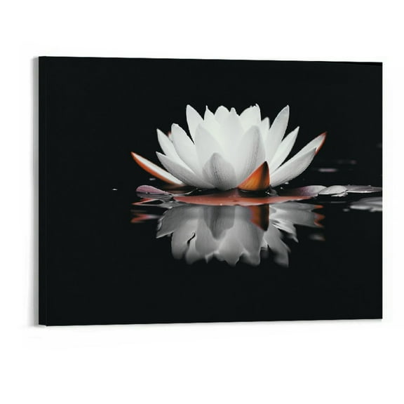 ONETECH Black and White Lotus Flower Canvas Wall Art Zen Pictures Decor Floral Bloom Painting Bathroom Decor Frame Ready to Hang (Black and White Lotus Flower - 20x16in