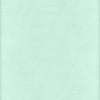 David Textiles Inc. 42" 100% Cotton Flannel Solid Sewing & Craft Fabric By the Yard, Mint