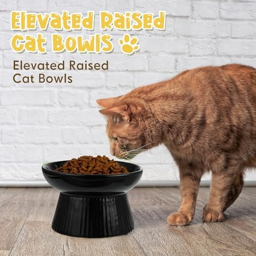 2 Pcs Raised Cat Slow Feeder Bowl Ceramic Elevated Cat Dog Food Bowl No Spill High Edge for Dry Wet Food and Water Easy to Clean, Dishwasher Safe (Black,White)