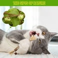 thumbnail image 4 of Natural Silvervine Dental Sticks，Specifically designed for indoor cats, suitable for chewing and dental care., 4 of 7