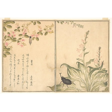 Minomushi); Horned Scarab Beetle (Kabutomushi), from the Picture Book ...