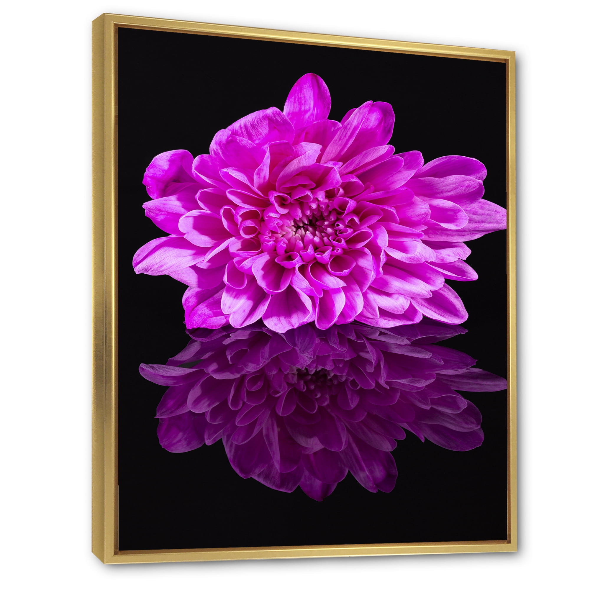 Designart 'Single Purple Chrysanthemum Flower On Black Reflection' Traditional Framed Canvas Wall Art Print