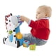thumbnail image 3 of Cebra Fisher-Price Bloques de Actividades, 3 of 4