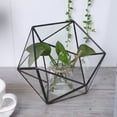 thumbnail image 5 of Unique Geometric Glass Planter Container Landscape Decoration for Succulents Moss Fern Plants, 5 of 5