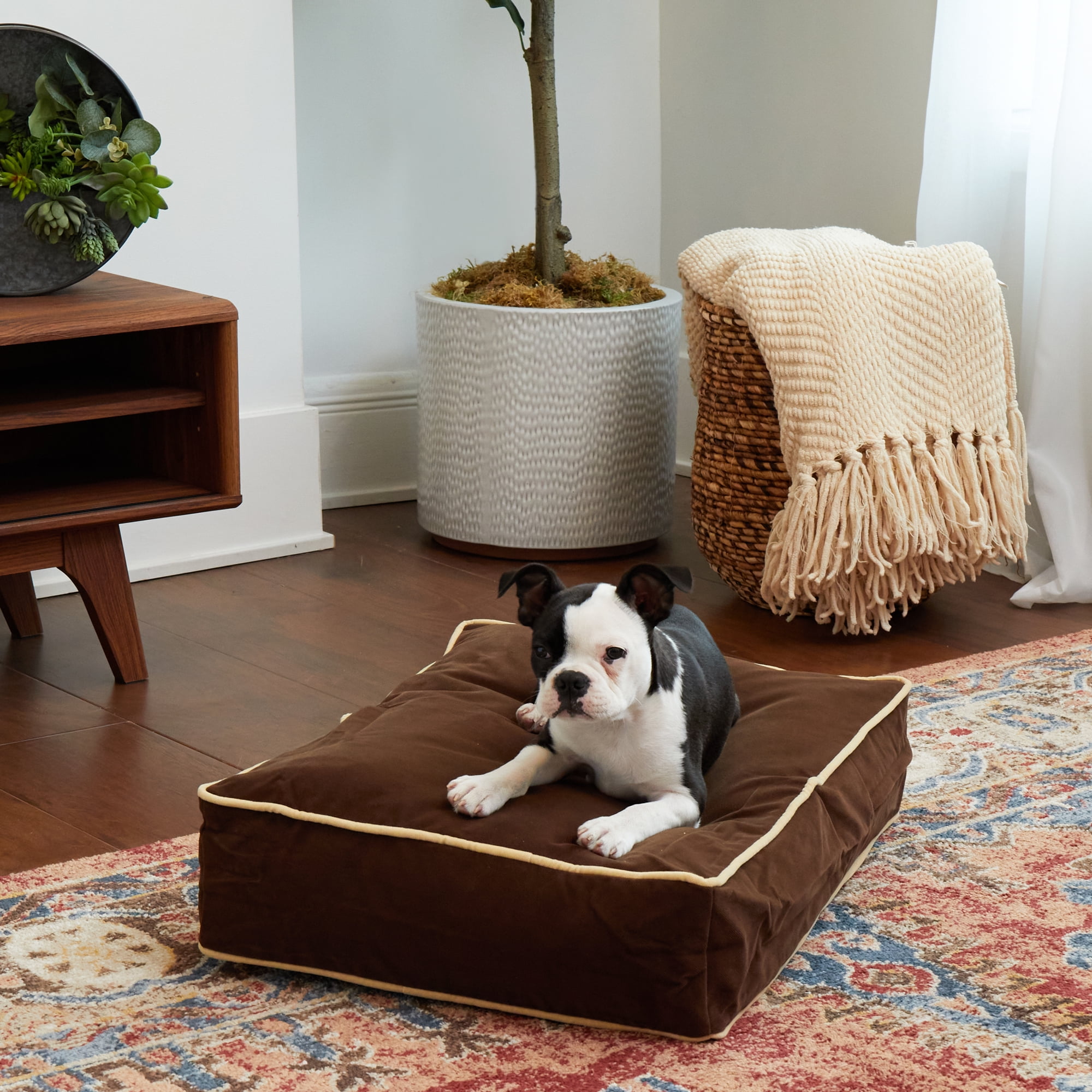 Happy Hounds Buster Rectangle Pillow Style Dog Bed, Cocoa, Extra Small (24 x 18 in.)