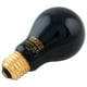 thumbnail image 2 of Foco para Terrario Hagen Calor Nocturno 50 Watts, 2 of 2