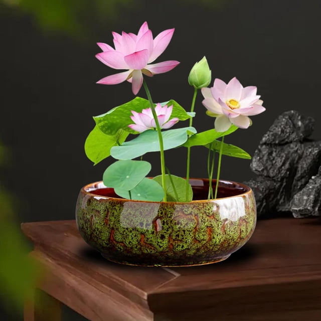 Plantador de lotos de recipiente hidropónico, esmaltada, jarrón decorativo multifuncional, maceta de cerámica de cerámica para plantas de interior cambió de verde