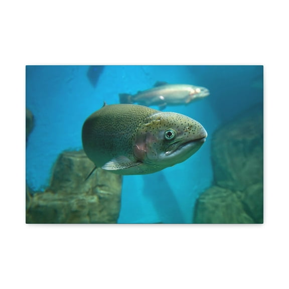 Salmon Hunting Salmon on Hunt Print Animal Wall Art Wildlife Canvas Prints Wall Art Ready to Hang Unframed