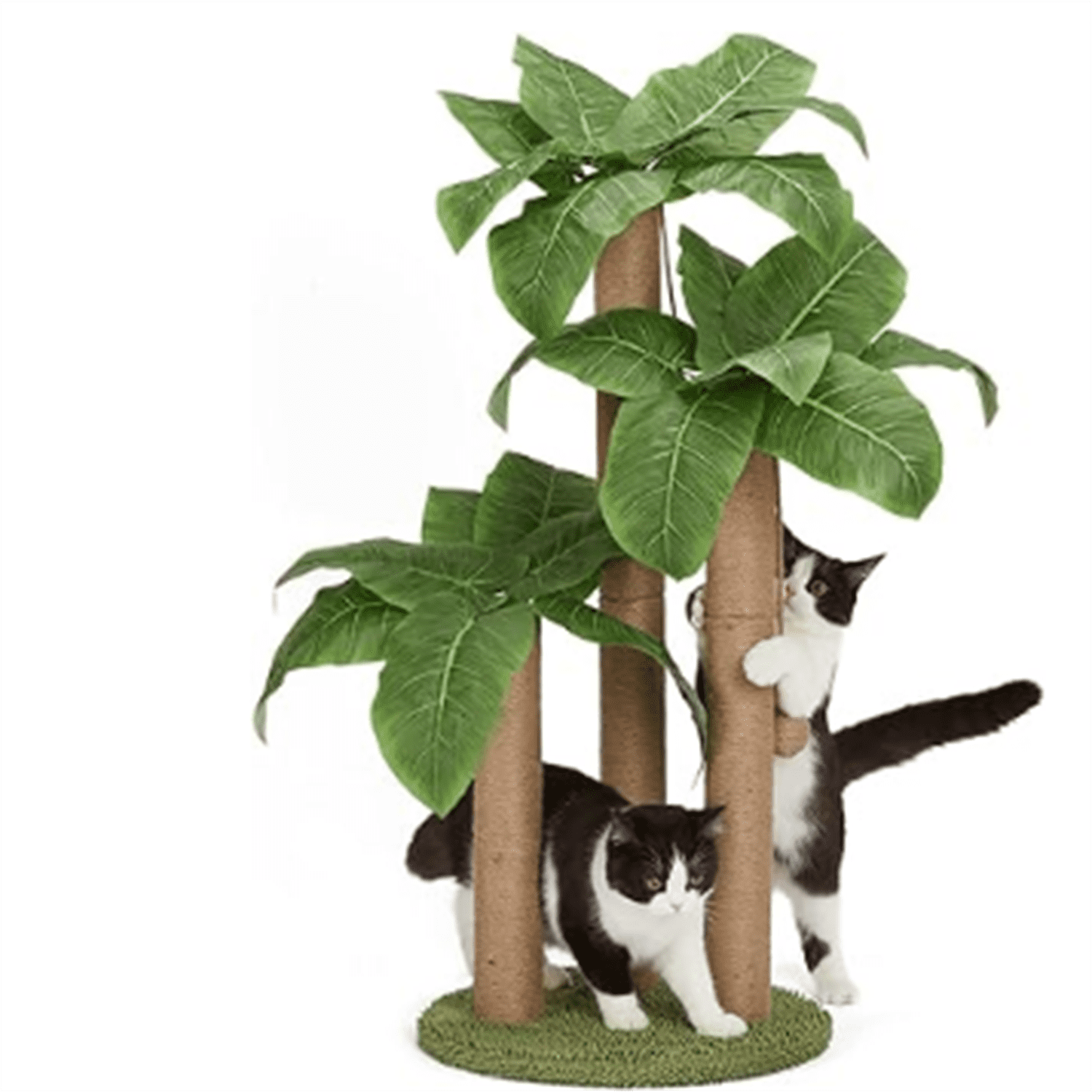 31.5Inch Cat Scratching Post,Cat Scratcher Tree with 3 Scratching Poles & 2 Interactive Dangling Balls,Cats Scratching Posts for Indoor Kitten & Adult Cats