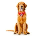 thumbnail image 2 of Kansas City Chiefs Dog Bandanna Size S, 2 of 5
