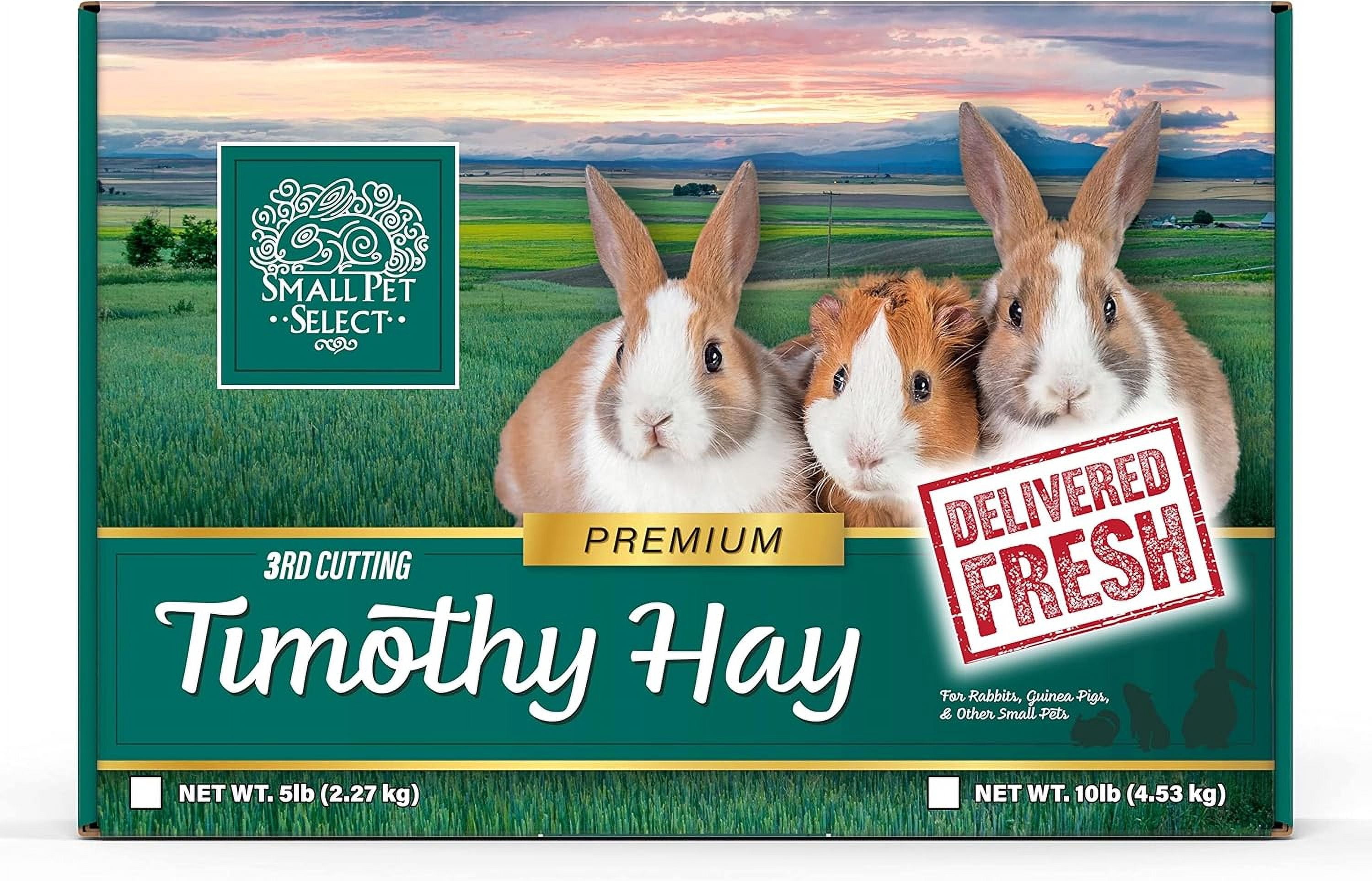 Small Pet Select 3rd Cutting Super Soft Timothy Hay Pet Food for Picky Eaters, Rabbits, Guinea Pigs, and Other Small Animals, Easy to Store Box, 10 LB